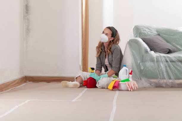 Reliable Attic Mold Removal contractor in Pineville, NC by WQB Mold Removal