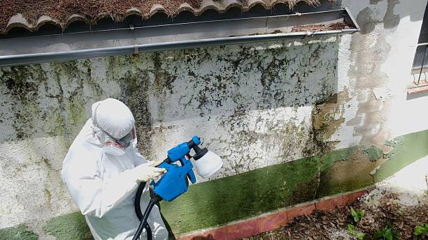 Top rated local Attic Mold Removal specialists in Pineville, NC